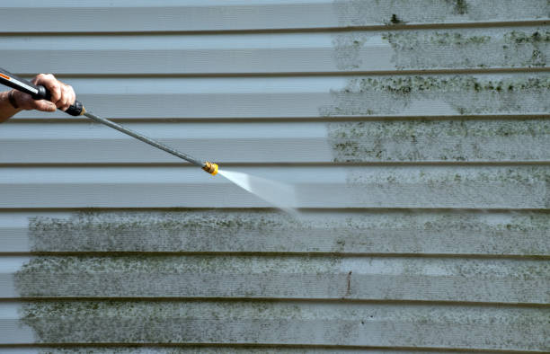 Best Fence Pressure Washing  in Erie, IL
