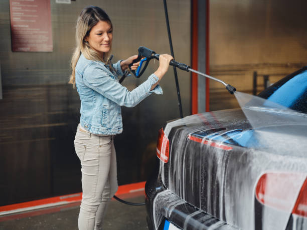 Best Pressure Washing Driveway  in Erie, IL